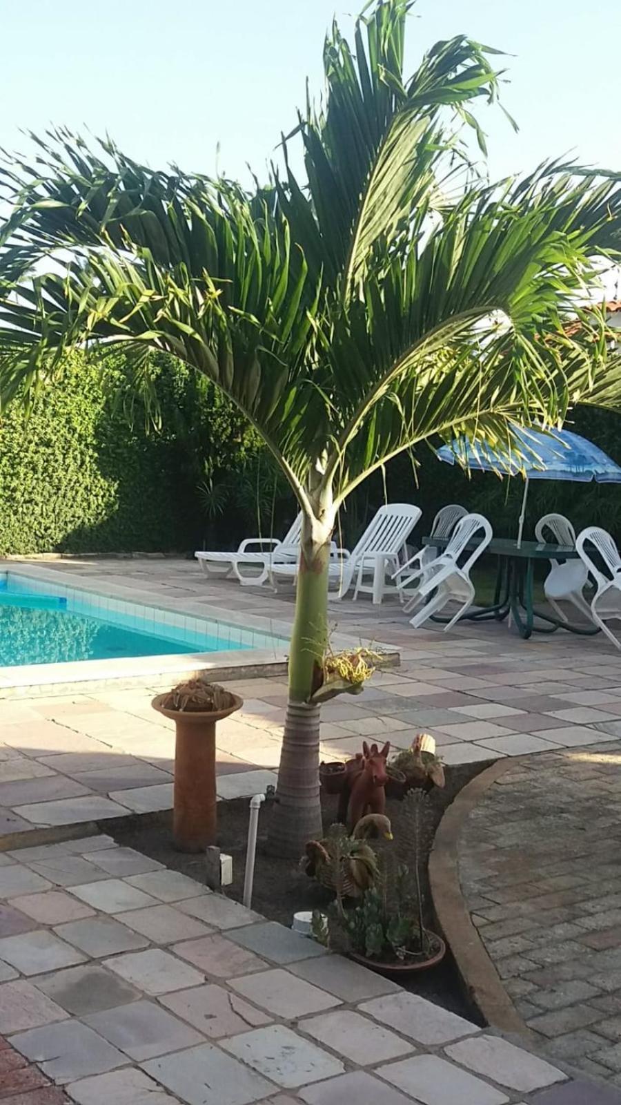 Pousada Dos Cajueiros Paripueira Luaran gambar
